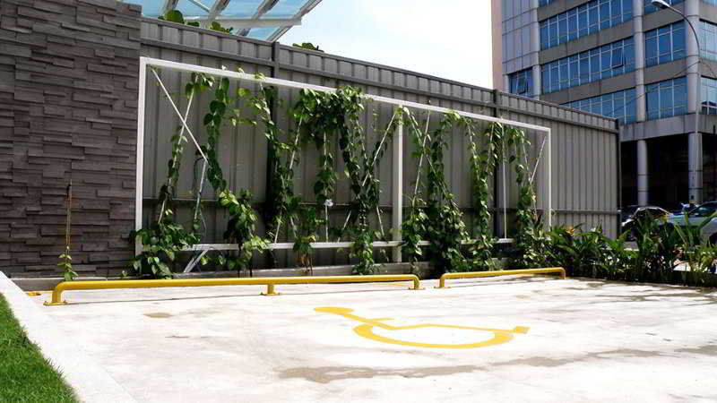 HelicoNia Hotel George Town Buitenkant foto